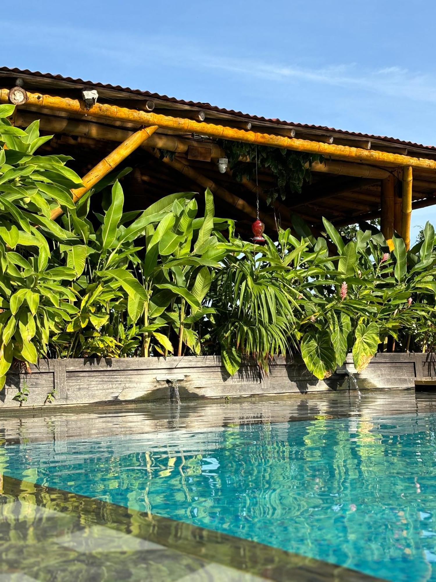 Siembra Hotel&Spa Minca Exterior foto